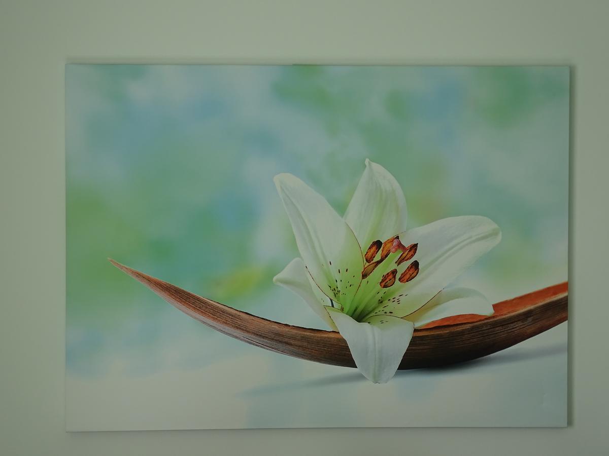 Gaestehaus Uezel ฟรีดริชส์ฮาเฟน ภายนอก รูปภาพ